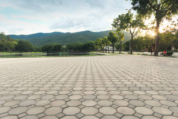 Best Permeable Paver Driveway  in Excelsior Springs, MO